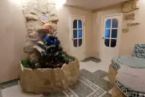 Большая квартира на Ольгином пруду., Петергоф