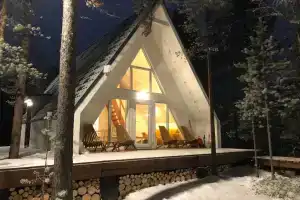 Современный дом в сосновом лесу