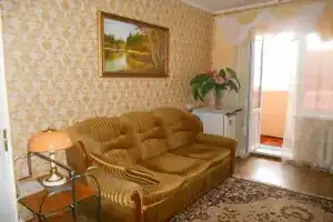 Комната в центре с евроремонтом