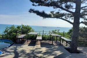 Коттедж с видом на море в сосновом лесу
