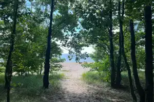Дача на заливе, Озерки