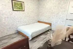 Трехкомнатная квартира вблизи Сквера Энтузиастов, Красноярск
