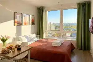 Видовая квартира-студия, 20 м², 1 кровать, Москва
