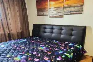 Студия, Красное Село