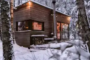 Вилла «Forest Camp», Зеленоград
