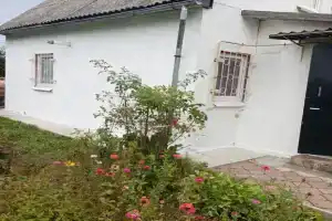 Море, Куликово