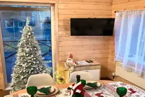 База отдыха «Ладожские дюны», Моторное