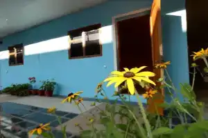 Отдых у Аведиса и Виктории, Алахадзы