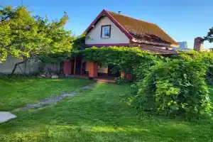Gasthoff Minifisch, Калининград