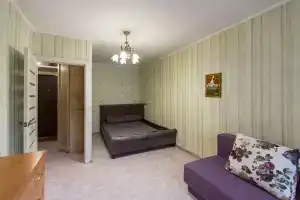 Однушка на Преголи, Калининград