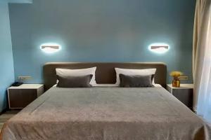 Двухместный номер с 1 кроватью стандарт с видом на город