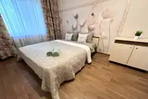 Просторная квартира в центре