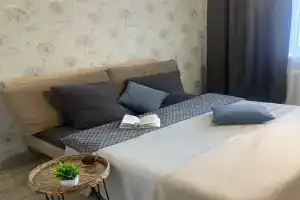 Квартира на одной из главных улиц, Кострома