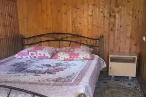 (9) Стандарт 2-х местный, Архипо-Осиповка
