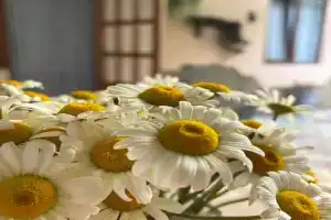 Домик с беседкой, Алушта