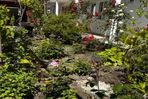 Отила, Геленджик