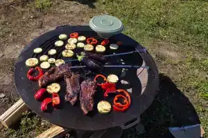 Дом на Царских высотах, Нов.Ропша