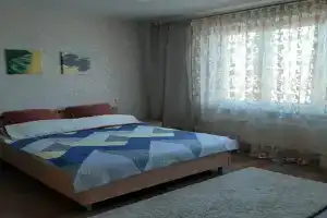 Светлая, уютная 1-комнатная квартира, Красноярск