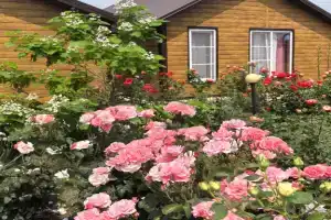 Отдельный домик Лаванда недалеко от моря, Должанская