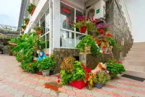 Гостиница «Оазис», Джубга
