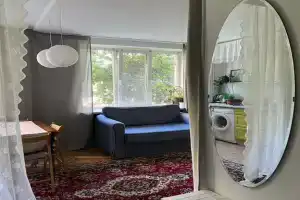 Frenchie, Петергоф