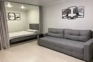 1-комнатная уютная квартира, Альметьевск