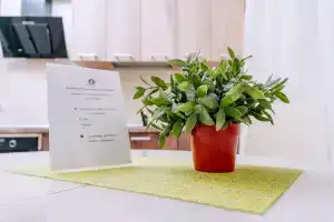 Апартамент, Туапсе