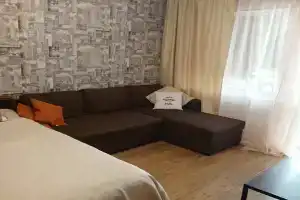 Уютная однокомнатная квартира