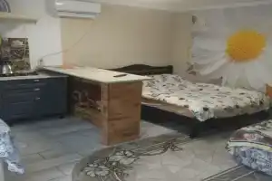 Комфортная квартира студия в частном доме
