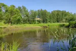 Дом на холме,в окружении леса и речки