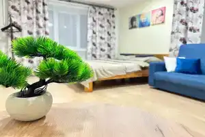 1-комнатная квартира, Ленинск-Кузнецкий