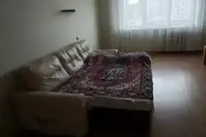 Уютная однокомнатная квартира, Воронеж