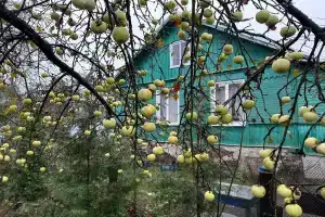 Домик рядом с озером, Раздолье