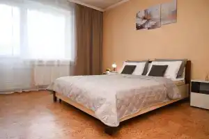 Двухкомнатная квартира тц планета, Красноярск