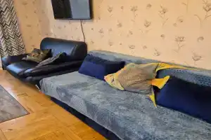Рыбки-котики, Сортавала