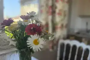 Уютные апартаменты в центре города