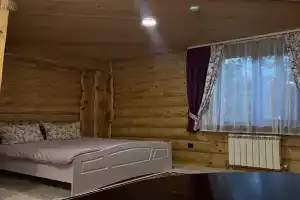 Двухместный номер с 1 кроватью стандарт, Дятьково