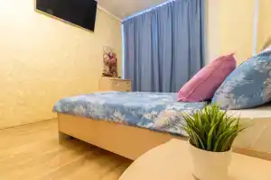 Чистая просторная квартира в самом центре