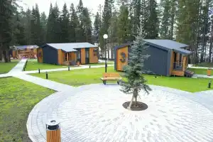 Заповедный лес, Ревда
