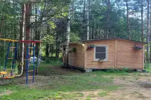 Дом на берегу озера Велино в Гдовском районе
