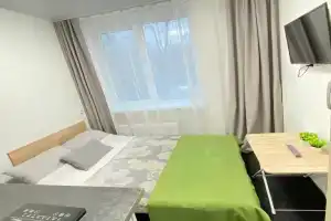 Студия, Ломоносов