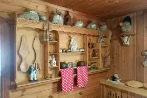 ЭКО дом на Волге