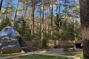 Панорамный дом в сосновом лесу Glassy 2