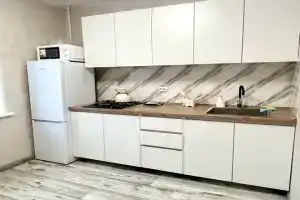 Уютная квартира с новым ремонтом, Луга