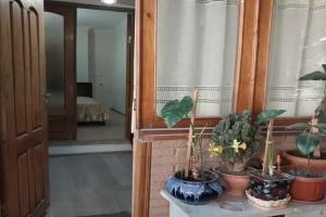 1-комнатная квартира, Тбилиси