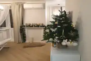 Студия Бове, Егорьевск