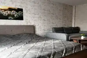 Уютная квартира центральный район, Советский, Покровский, кардиоцентр, Красноярск