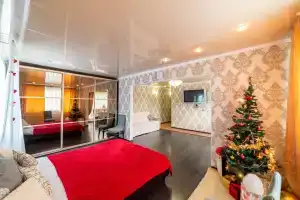 Просторная квартира с видом на пруды, Хабаровск