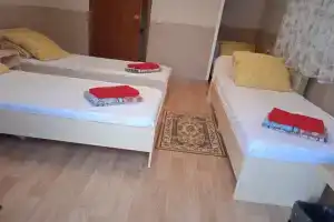 Стриж, Исетское