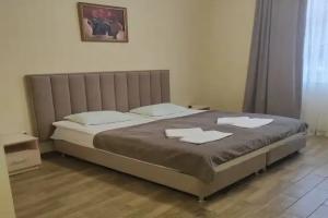 Стандарт с завтраком, Цветочный